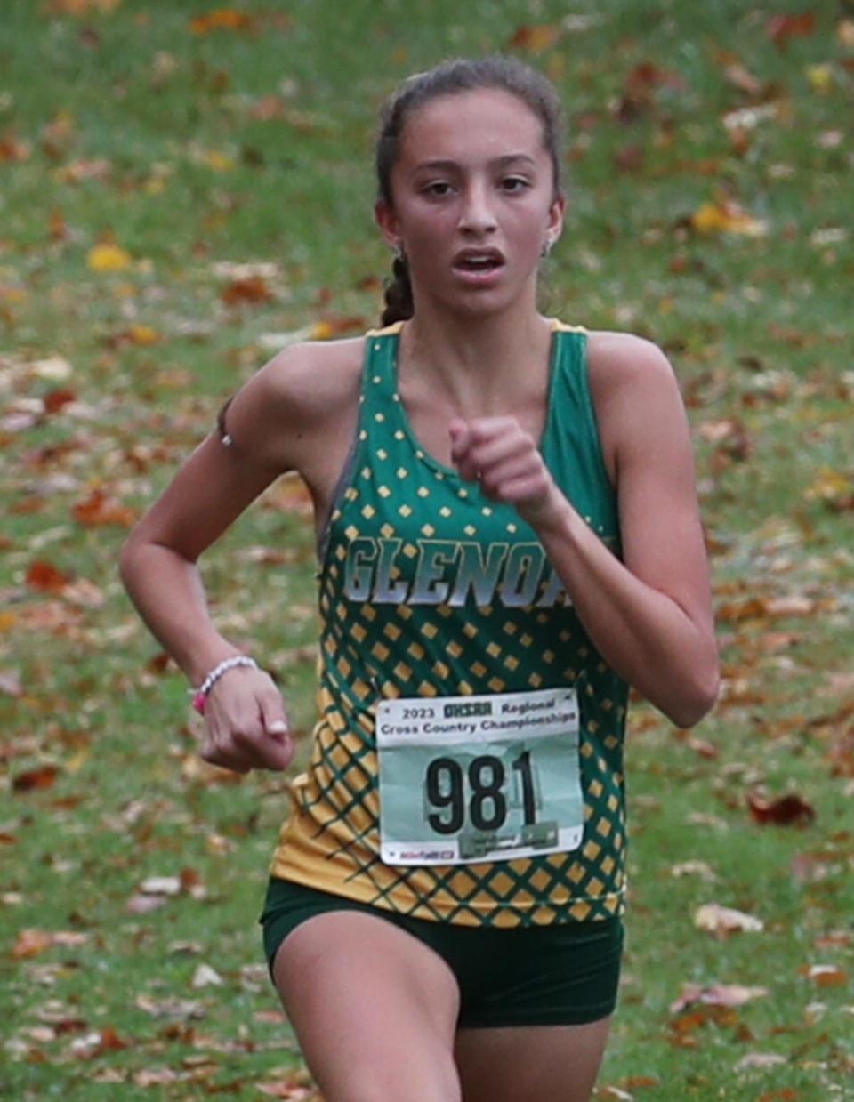 Nora Salem has helped lead the GlenOak girls cross country team to a Division I state berth.