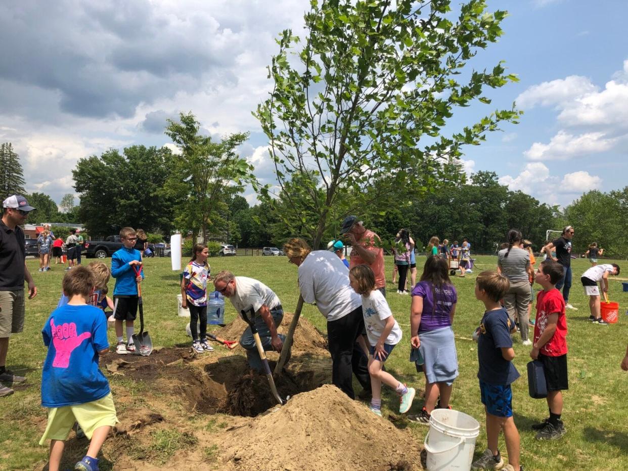 The Division of Forests and Lands’ Schoolyard Canopy Enhancement Program is in its second year granting trees to school campuses that need more greenery. Pictured is Abbot-Downing School in Concord in June 2023.