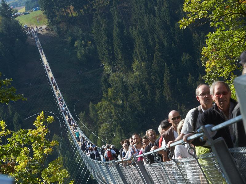 Hängeseilbrücke über die Geierlay-Schlucht zwischen Mörsdorf und Sosberg. Foto: Thomas Frey / Getty Images