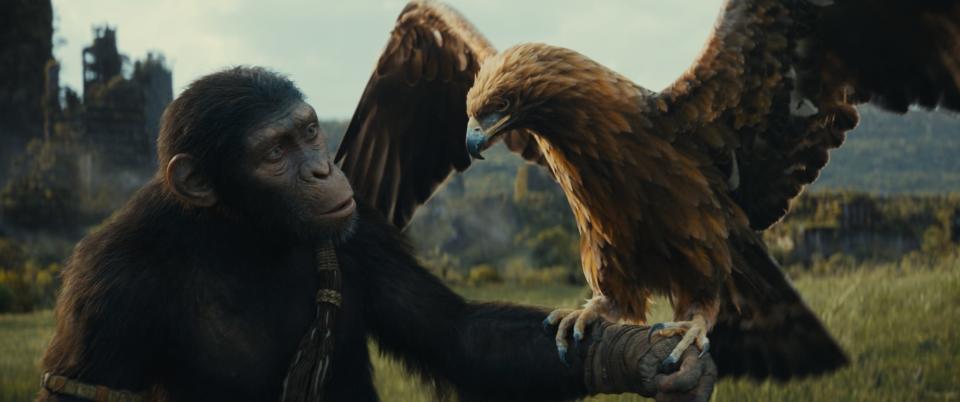 An ape, Noa, with a bird on its arm in "Kingdom of the Planet of the Apes."