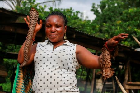 A bushmeat seller poses with scales of pangolin at a bushmeat market in Emure-ile, along Owo-Akure road Ondo