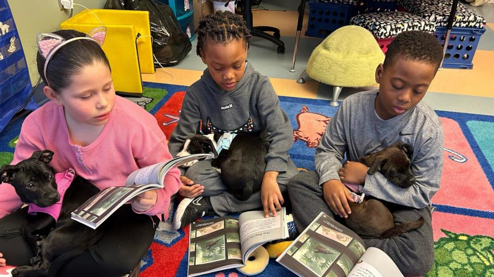 PHOTO: Brooke Hughes, a first-grade teacher at Hanby Elementary School in Wilmington, Del., started the Foster Tales Puppy Therapy program that encourages students to read to foster puppies. (Brooke Hughes/Foster Tales Puppy Therapy)