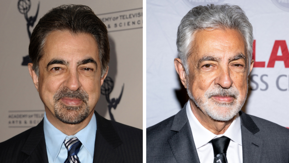 Joe Mantegna in 2009 and 2023