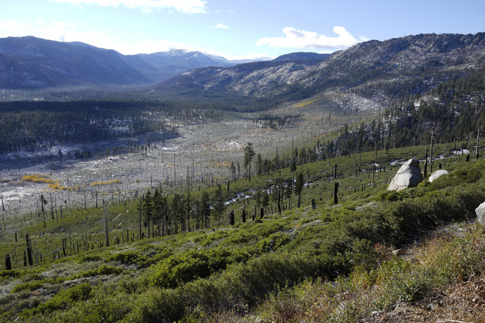 A large swath of forest destroyed by the 2007 Angora Fire can be seen from a ridgetop near Lake Tahoe, Calif., on Oct. 23, 2022. The Caldor Fire burned near the same area in 2021. Scientists say forest is disappearing as increasingly intense fires alter landscapes around the planet, threatening wildlife, jeopardizing efforts to capture climate-warming carbon and harming water supplies. (AP Photo/Brian Melley)