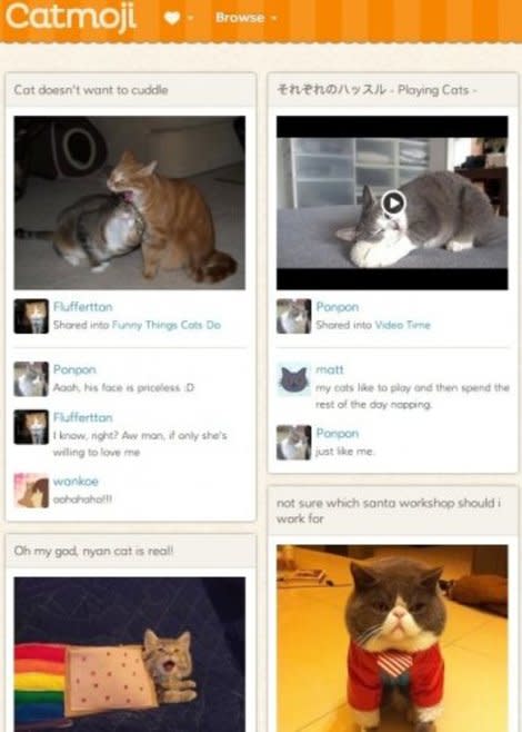 Facebook for Cats