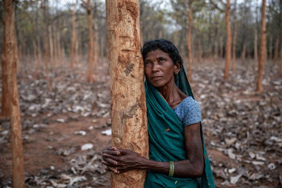 An indigenous woman hugs a tree in a forest due to be cut down for coal-mine expansion at Chhattisgarh's Surguja district.<span class="copyright">Supratim Bhattacharjee</span>