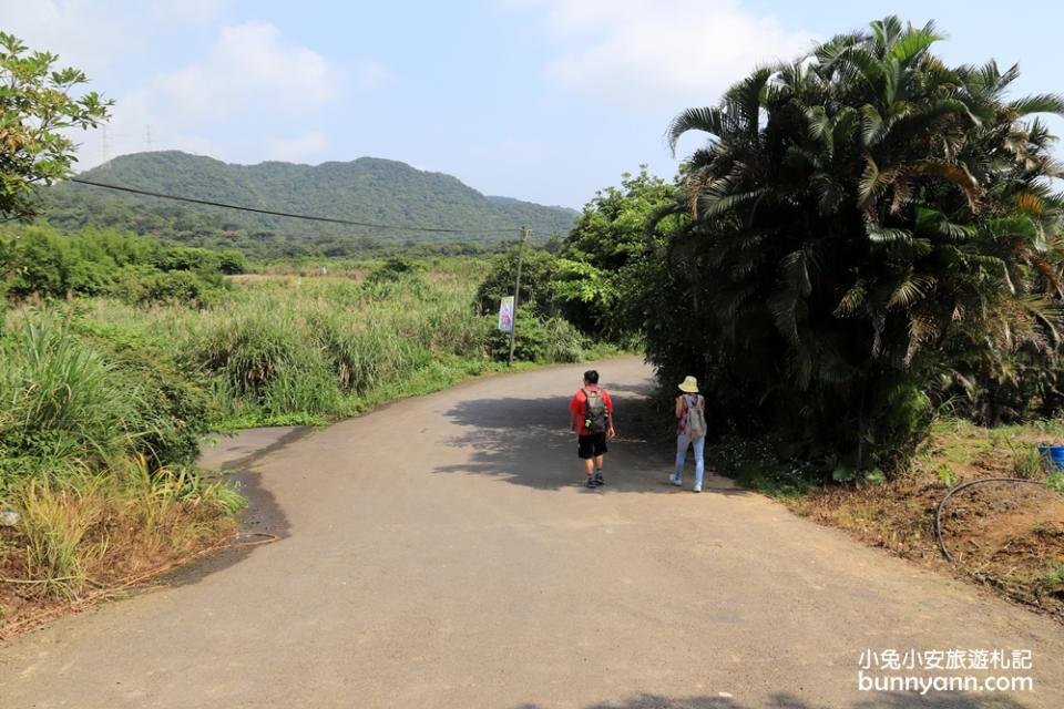 新北景點｜高家繡球花田萬里第三園區