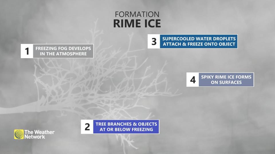 Rime ice explainer