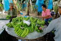 <p>No. 6 (tie): Laos<br>Projected GDP growth: 7 per cent<br>(Reuters) </p>