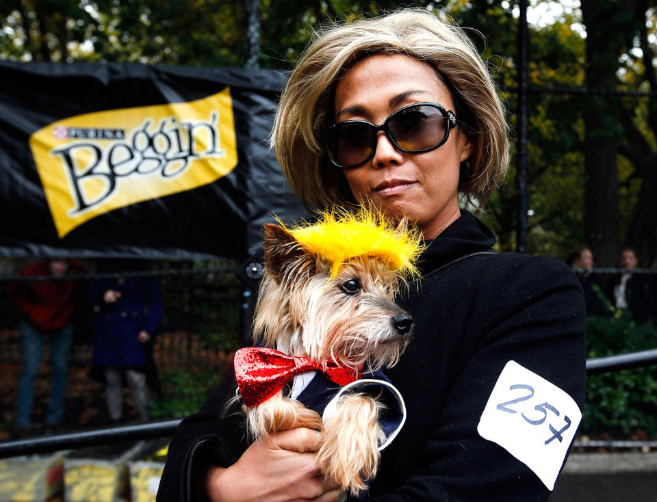 Tompkins Square Halloween Dog Parade Presented by Purina Beggin'