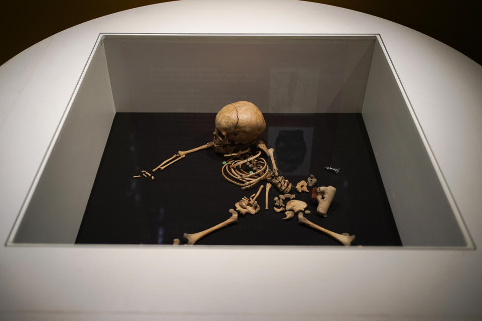 The skeletal remains of a boy who was sacrificed to honor the solar god Huitzilopochtli is on display at the Museum of Templo Mayor, in Mexico City, Wednesday, March 29, 2023, as part of a new exhibit marking the 45th anniversary of the discovery of a monolith depicting Coyolxauhqui, the Mexica lunar goddess. (AP Photo/Eduardo Verdugo)