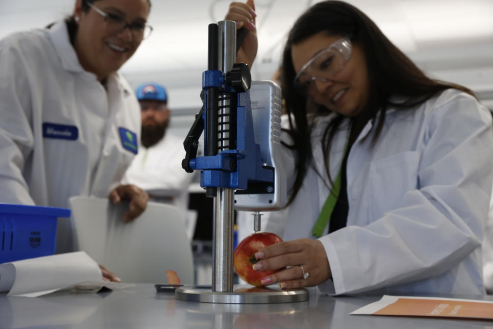 Liz Yi (derecha) prueba la firmeza de una manzana el 28 de junio de 2022 en la sede de Hazel Technologies en Chicago. La empresa explicó sus esfuerzos para ayudar a los agricultores a mantener más frescos sus productos almacenados. (AP Foto/Martha Irvine)