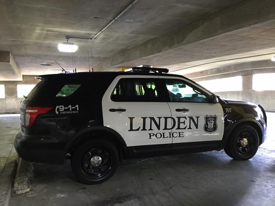 The Elizabeth and Linden Police Departments, coupled with Trinitas Medical Center, entered data into a spreadsheet that included details such as age, race, ethnicity and gender, but included less about how the ARRIVE team assisted.