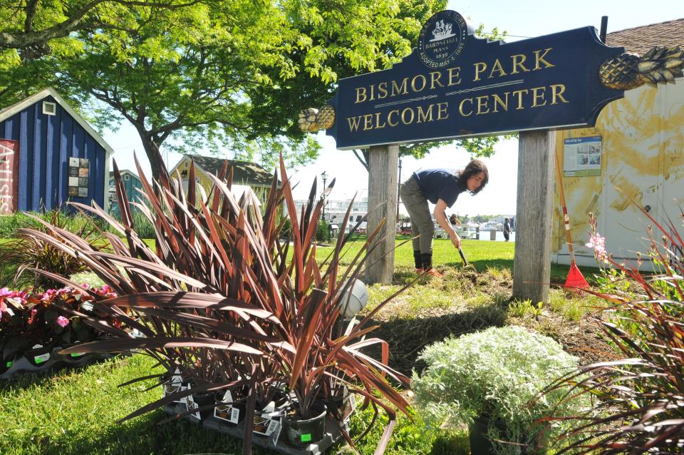 AmeriCorps Cape Cod member Leeza Barstein helps prepare an area for planting on June 12 at Bismore Park in Hyannis. The members worked with the town of Barnstable to plant 125 plants around the park and 85 mint plants around the artist shanties, said Alice Marcus Krieg, a grants coordinator for the town of Barnstable.