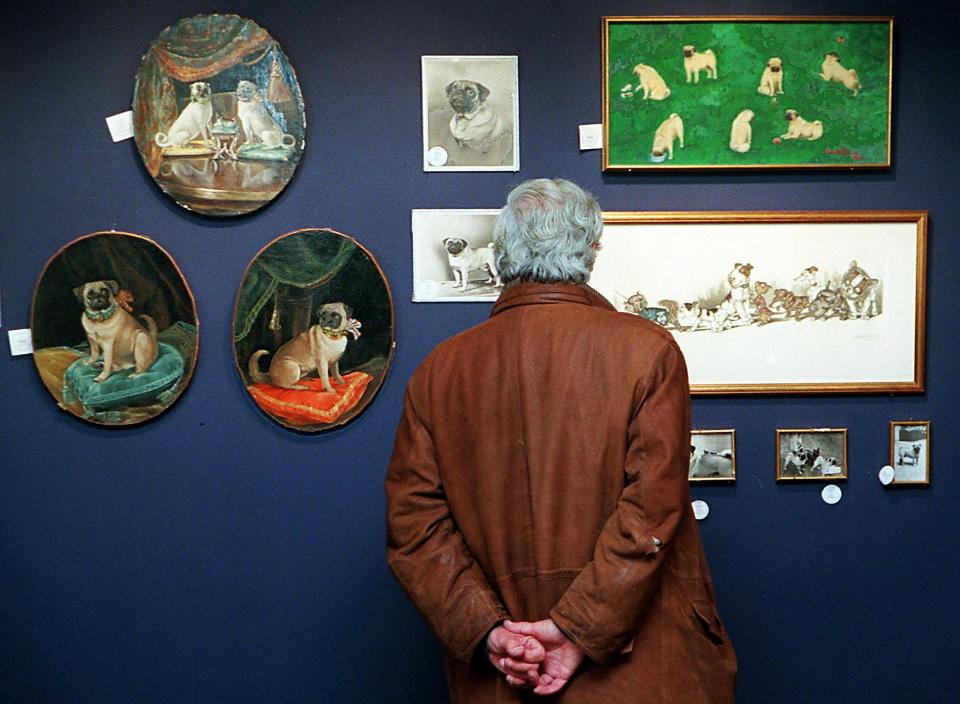NEW YORK, UNITED STATES:  A visitor looks at paintings of pugs belonging to the Duke and Duchess of Windsor during a preview at Sotheby's auction house 09 February in New York. Sotheby's will auction the contents of the Paris home of the late royals on February 19-27 in New York.   AFP PHOTO    Matt Campbell (Photo credit should read MATT CAMPBELL/AFP via Getty Images)
