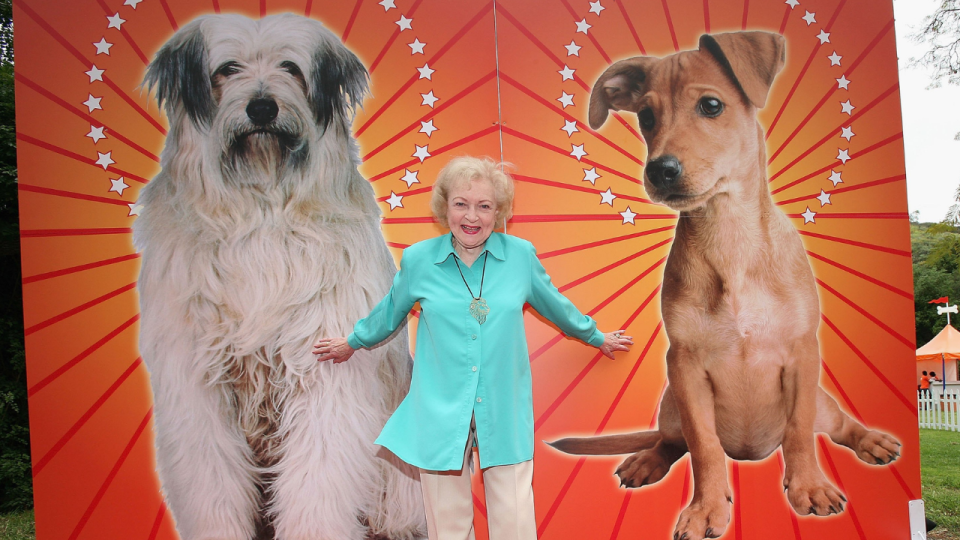 Times are tough. Here are some pictures of Betty White with cute dogs.