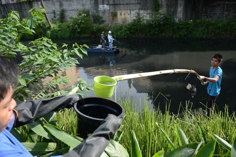 Students from a nearby university collect water samples from the Estero de Paco tributary in Manila, on February 18, 2013. At Estero de Paco, a 2.9-kilometre (1.8-mile) tributary that a few years ago was one of the most polluted in the city, shanty homes have been replaced with tree-lined boardwalks while water-treatment machines now nestle amid plants