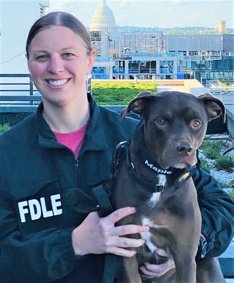 Maple and her handler, Stephanie Cassidy, a special agent supervisor with the Florida Department of Law Enforcement.