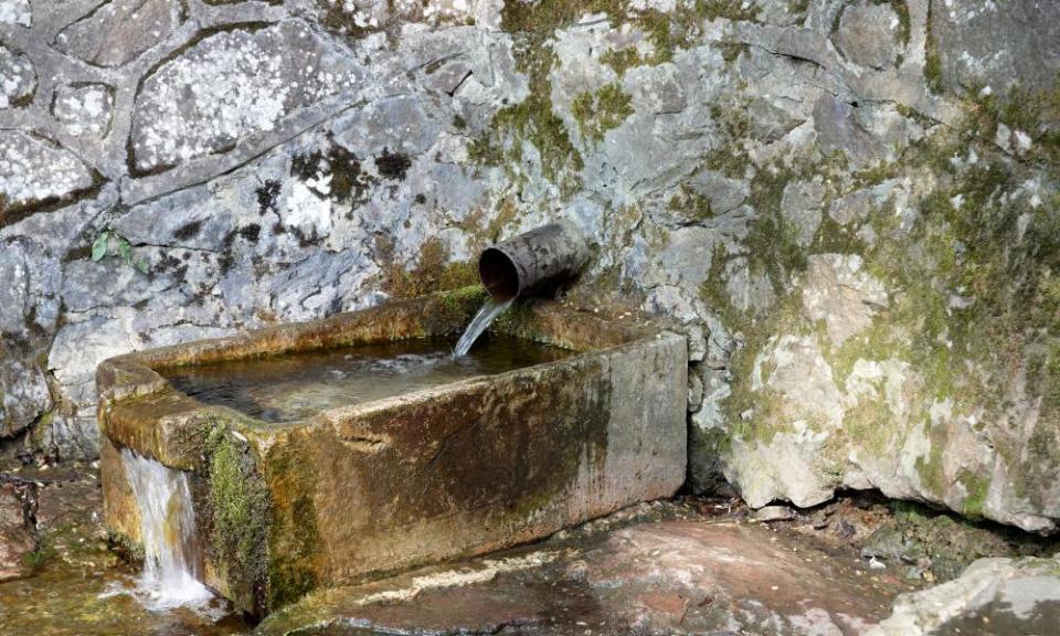 Evendine spring on the western slope of Black Hill.