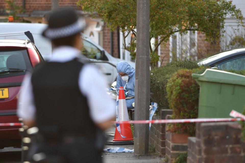 Police in Adderley Gardens, Greenwich: PA