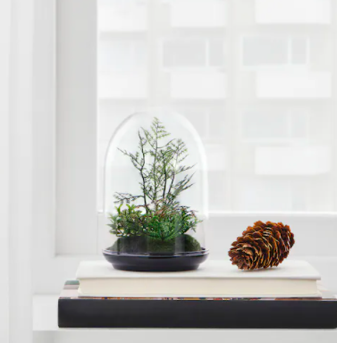 Find the inspiration for new beginnings with gifts from Ikea