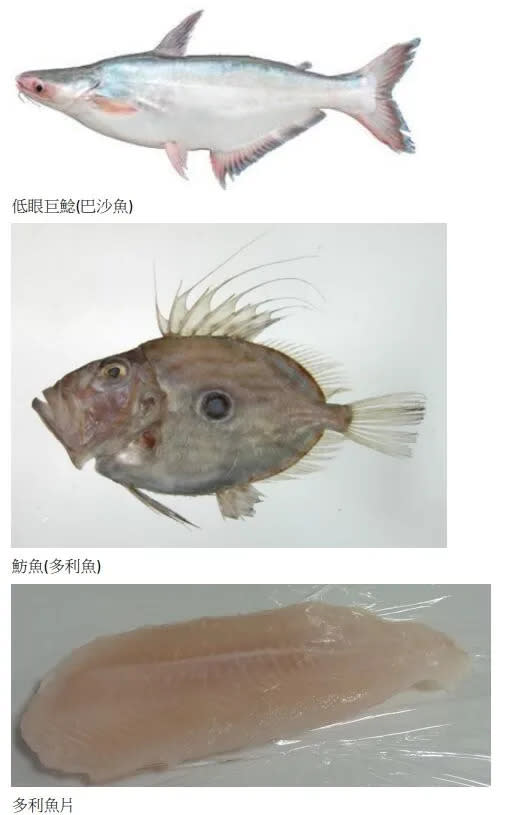 巴沙魚被部分業者稱「多利魚」，但其實完全不同。圖為多利魚與巴沙魚比較圖（翻攝自北市衛生局新聞稿）