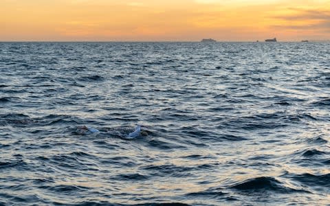 Sarah Thomas swimming the Channel - Credit: Jon Washer/PA