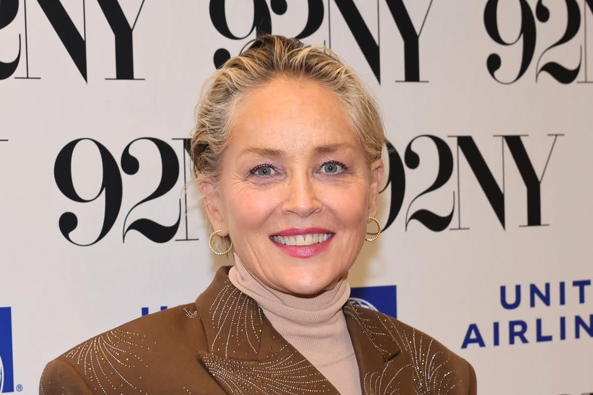 Sharon Stone said she is ‘shocked’ her career did not continue to do well (Getty Images)