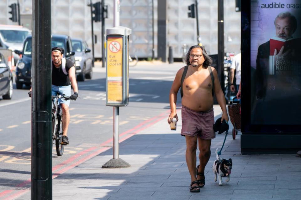 A man walks his dog in central London (Dominic Lipinski/PA) (PA Wire)