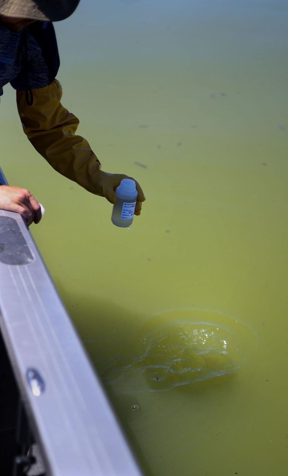 Cody Ellsworth, water quality technician for the Utah Division of Water Quality, collects a sample from Utah Lake on Thursday, July 13, 2023. Provo Bay at Utah Lake is under health advisories due to the outbreak of harmful algal blooms, or cyanobacteria, which can cause respiratory problems, skin irritation and in some cases it can be fatal for dogs. | Laura Seitz, Deseret News