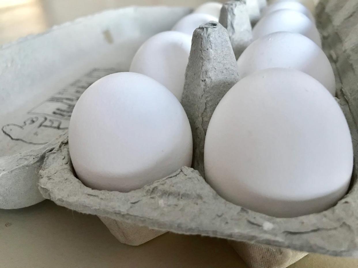 Polar Eggs will soon be sending out shipments of their product to 20 stores in the N.W.T.   (Kirsten Murphy/CBC - image credit)