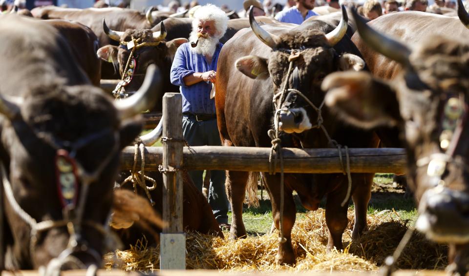 Photos of the day - September 4, 2013