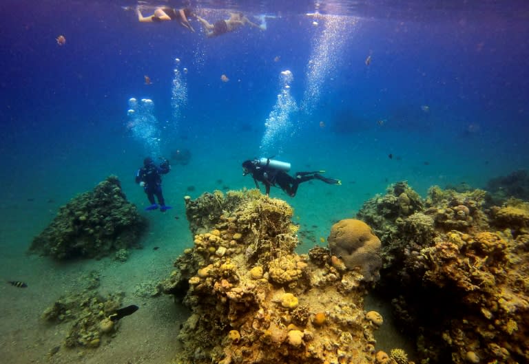Scuba divers at a coral reef while on a dive in the Red Sea waters off the coast of Israel's southern port city of Eilat