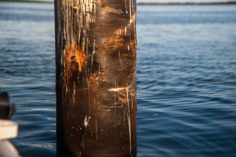 Channel marker #15 in the Intracoastal Waterway on Biscayne Bay is the site of a deadly boat crash on Labor Day weekend.