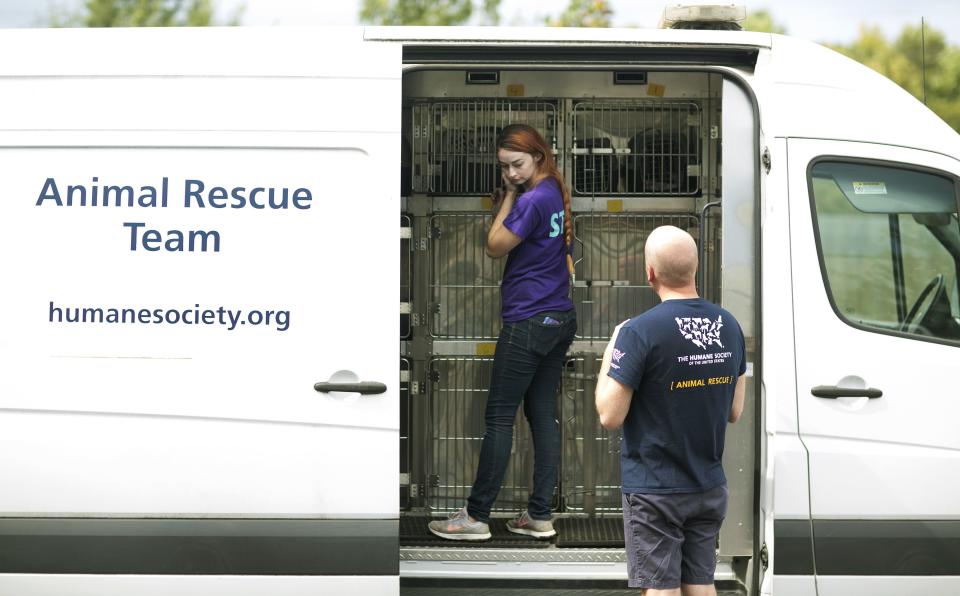 <p>Ein Tierrettungsteam in Portsmouth, Virginia, bringt Tiere vor dem anstehenden Sturm in Sicherheit. (Bild: L. Todd Spencer/The Virginian-Pilot via AP Photo) </p>