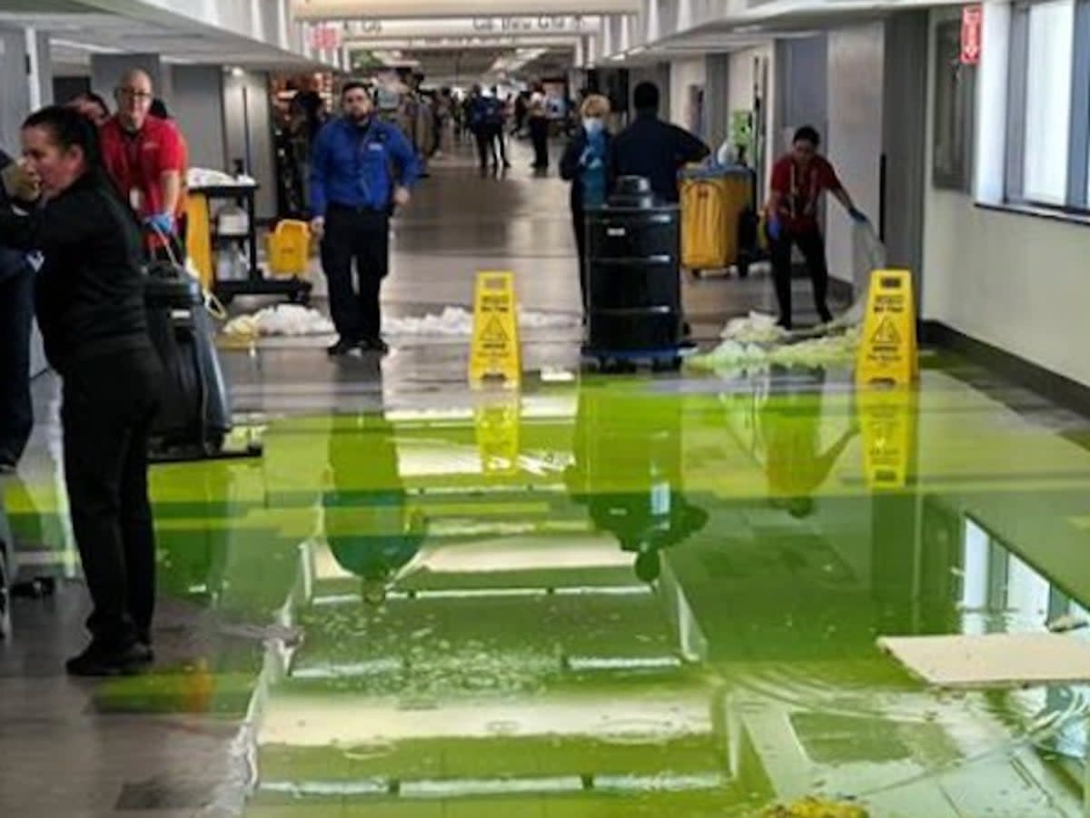 Green liquid flooded Concourse G at the Miami International Airport on July 4 (Green liquid flooded Concourse G at the Miami International Airport on July 4)
