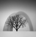 <p>A tree is silhouetted in front of a 30-foot titanium arch. (Oleksandr Nesterovskyi) </p>