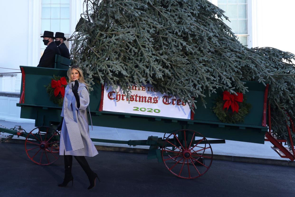Melania Trump poses with the White House Christmas tree  (Getty Images)