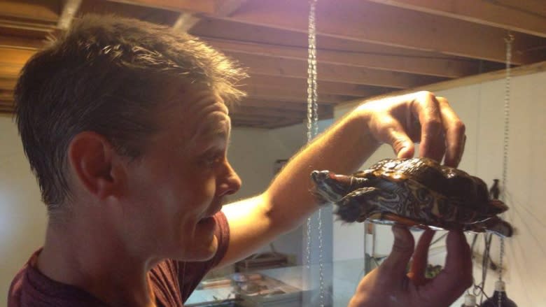 'I love them': How a St. John's man is saving abandoned turtles