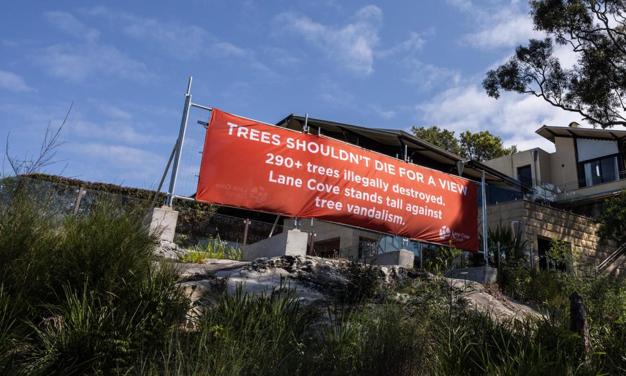 <span>Lane Cove council has placed a large sign on the Sydney foreshore after multiple trees were vandalised.</span><span>Photograph: Blake Sharp-Wiggins/The Guardian</span>