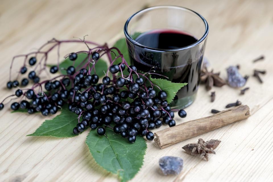 Elderberry extract