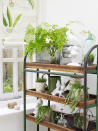 <p> ‘Use house plants wherever you can. For London-based clients, we go to Patch, which also offers advice on what will survive where. Collect unusual and reclaimed planters: zinc buckets are great for a rustic touch, but you can use anything,’ says Katie Cox of Ham Interiors. </p>