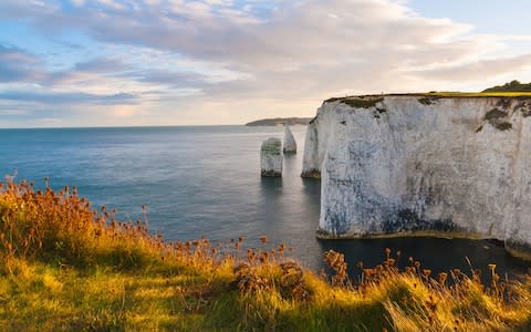 Old Harry Rocks - Credit: istock