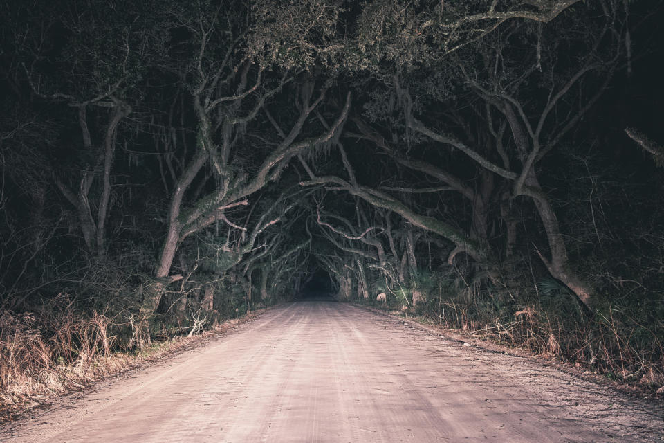 Creepy road lit by headlights