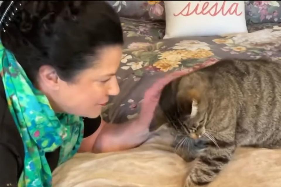 <p>KTVU FOX 2 San Francisco/Youtube</p> Patricia Duane and her cat Ozzie, who reunited with her after being missing for 6 years.