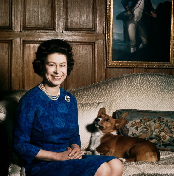 <p>Queen Elizabeth II with one of her corgis at Sandringham, 1970, who looks adoringly at his mistress.</p>