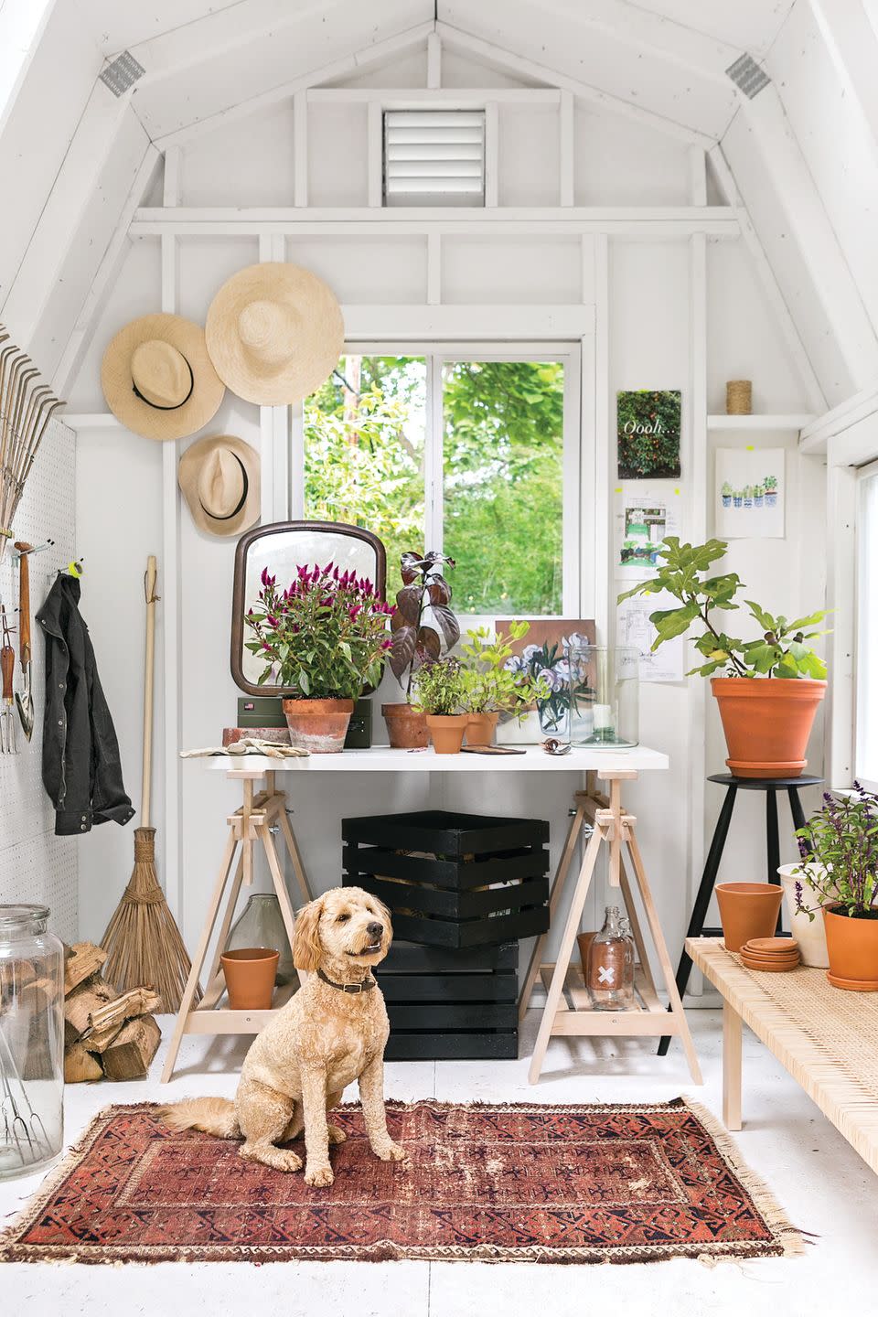 this well organized potting shed with pegboard for gardening tools, wooden crates for keeping extra supplies, and wall hooks holding a variety of sun hats