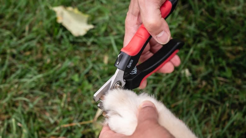 The Epica Pet Nail Clipper is our top pick because of its strength.