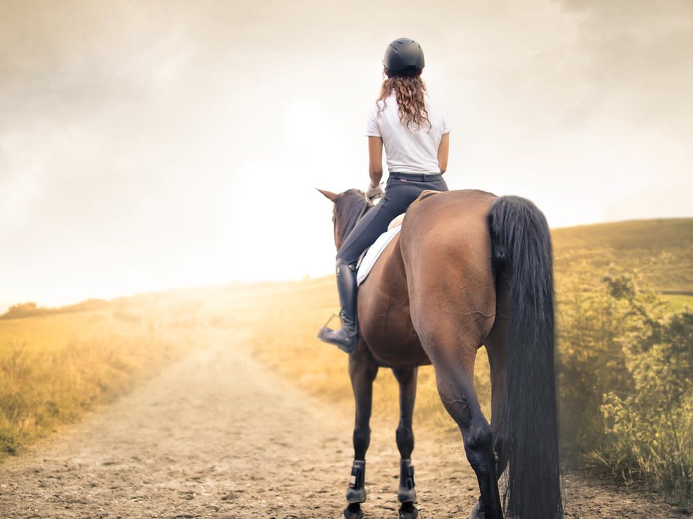 Für Pferdefans ist ein Urlaub auf dem Bauernhof genau das Richtige.  (Bild: 2017 Merla/Shutterstock.com)
