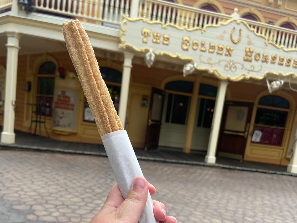 hand holding a classic churro in disneyland